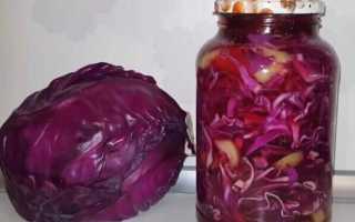 Салат на зиму из краснокочанной капусты рецепты с фото