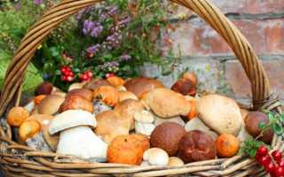 Диетические рецепты из грибов шампиньонов