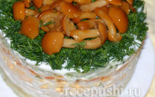 Салат грибная поляна с опятами рецепт с фото