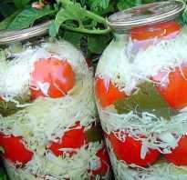 Рецепты салатов с капустой и помидорами на зиму