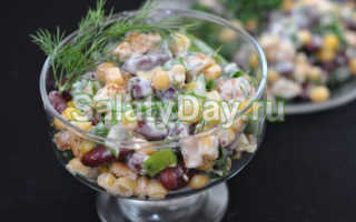 Рецепты салатов с фасолью на праздничный стол