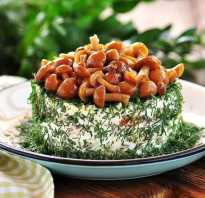 Салат лужайка рецепт с грибами