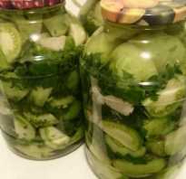 Салат из зеленых помидоров и огурцов на зиму рецепты без стерилизации
