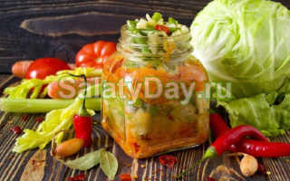 Рецепты салатов на зиму из перца болгарского и капусты