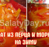 Рецепты салаты на зиму из помидоров и перца