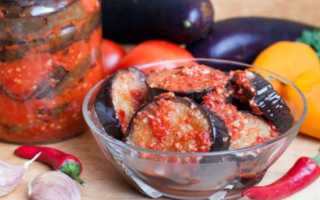 Салат на зиму огонек из баклажанов на зиму рецепт с фото