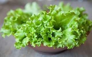 Рецепты салатов с салатом листовым