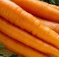 Заготовки на зиму рецепты салаты из моркови